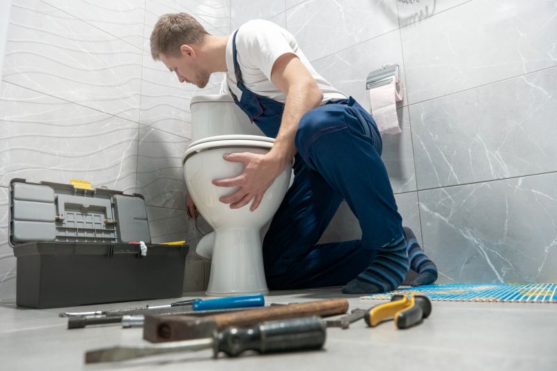 Commercial Toilet Repair detail